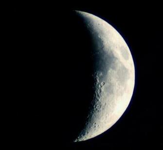 Crescent Moon A Rescue And Cardinal Cross