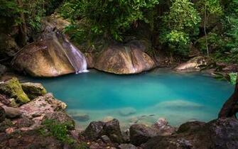 Lake Forest Photography Tropics Stones Jungle Nature Photo