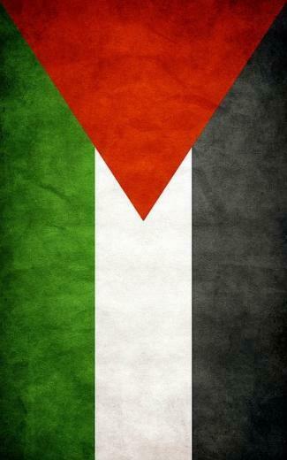 Palestine Flag