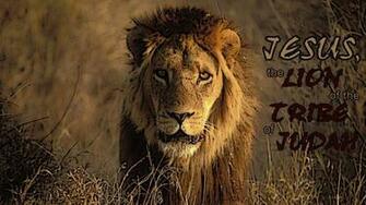 Lion Of Judah Wallpaper
