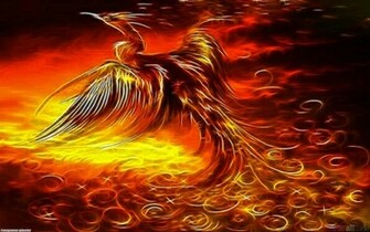 Picture Phoenix Bird