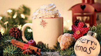 Christmas Quotes And Caption Ideas Turbofuture
