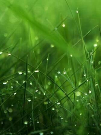 Wallpaper Htc Evo HD