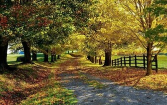 Mooie Wallpaper Van De Herfst HD Leuke Achtergrond Foto