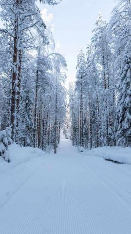 Snow White Nature Wallpaper Full HD Phone Background For