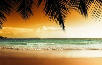 Wallpaper Sand Sea Beach Sunset Tropics Palm Trees Shore