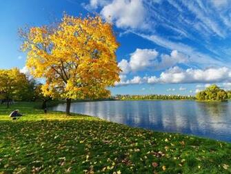 Autumn Tree Calm Water Nature Lakes HD Desktop Wallpaper