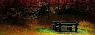 Fall Cover