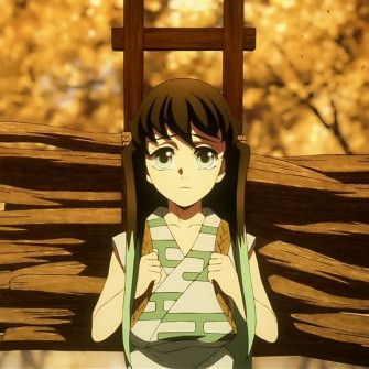 Muichiro Demon Slayer In Anime
