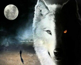 Fantasy Image Wolf Wallpaper Photos