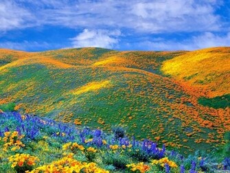 Colorful Nature High Quality And Resolution Wallpaper