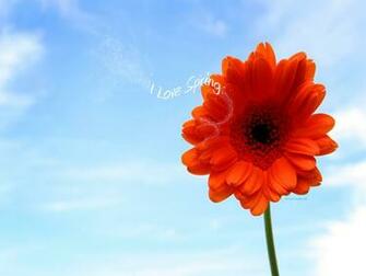 Love Spring Wallpaper Photos Kate Net Created
