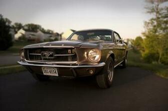 Mustang Wallpaper Net