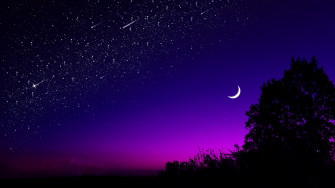 Moon Tree 4k Wallpaper