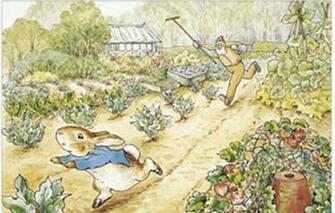Peter Rabbit Mr Mcgregor