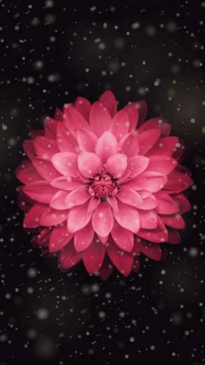 iPhone Wallpaper HD Imgtopic Image By
