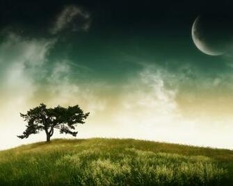Full HD Wallpaper Nature Trees Green