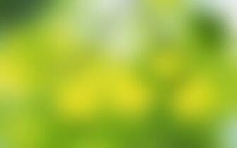 Soft Green X Widescreen Wallpaper