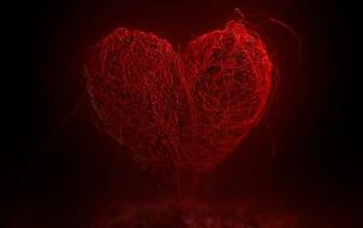 My Heart Wallpaper HD