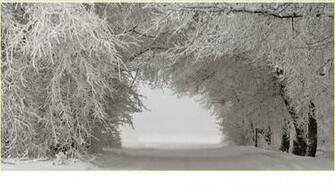 Cool Winter Background For Android Apk