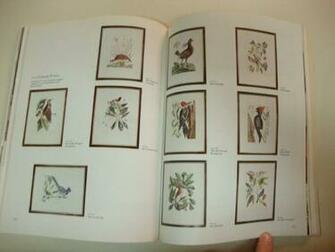 Lots Of Similar Vintage Plates And Antique Books Up For Auction From