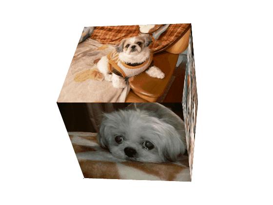3d Gif