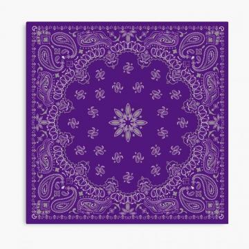 Purple Bandana Photographic Print By Dudeofwandar