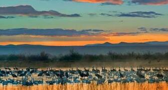 Del Apache National Wildlife Refuge Near Socorro New Mexico Us