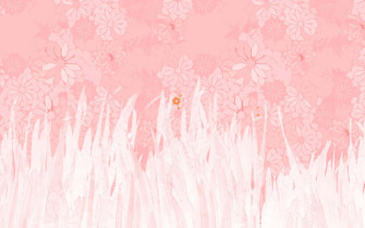 Plain Pink Desktop Wallpaper