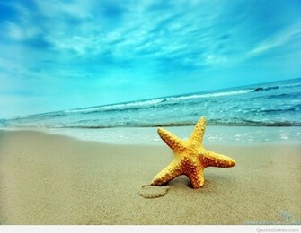 Summer Wallpaper