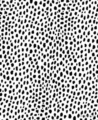 Dalmatian Spots Black White iPad Case Skin By Designminds