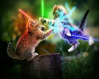 Lightsabers Wallpaper Animals Cats HD Desktop