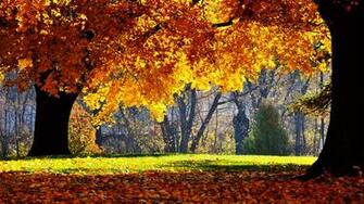 Autumn Wallpaper HD Cool Nature Picture Wallpapere Org