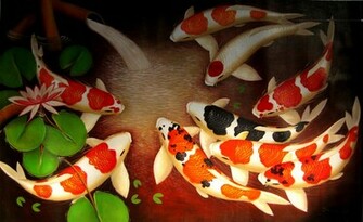 Koi Fish Wallpaper