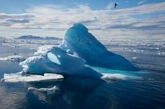 To The Arctic 3d Picture