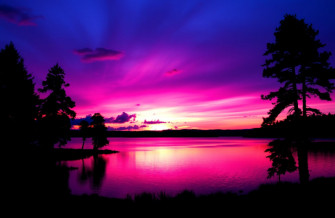 Purple Windows Wallpaper