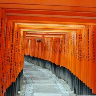 Fushimi Inari Taisha Kyoto Japan 4k HD Desktop Wallpaper For