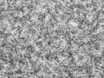 Black And White Background Texture By Donnamarie113