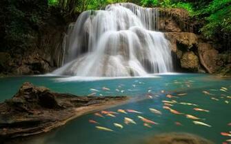 Animated Waterfall Waterfalls