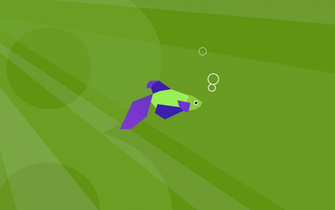 Related Pictures Beta Fish Windows Wallpaper