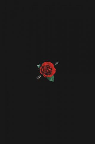 Black Rose Aesthetic Wallpaper On