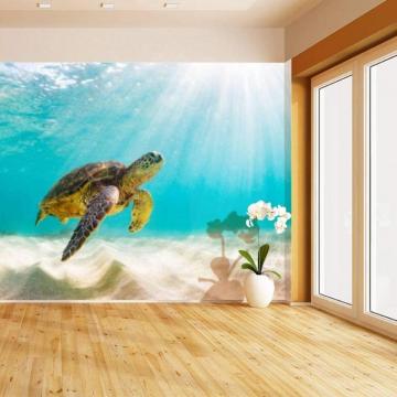 Amazon Himural Beautiful Hawaiian Green Sea Turtle Beachs