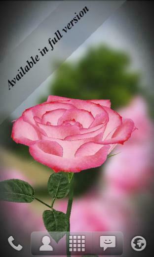 3d Rose Live Wallpaper Screenshot