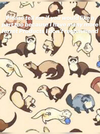 Ferret Products That I Don T Recommend And Why Animal Drawings