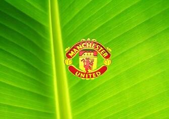 Wallpaper Of Manchester United Football Club Fanzone S 3d
