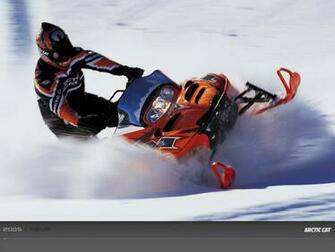 Arctic Cat Wallpaper X