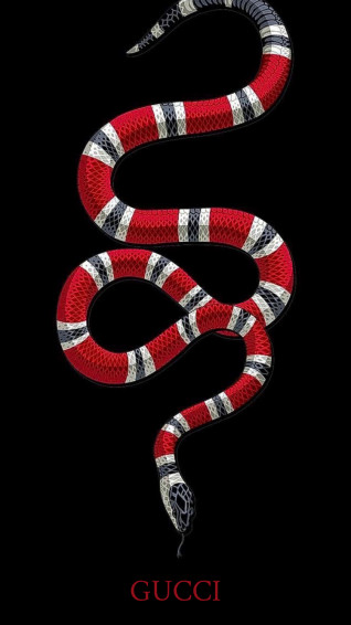 Gucci Snake Wallpaper iPhone