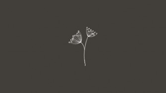 Simple Flower Desktop Wallpaper