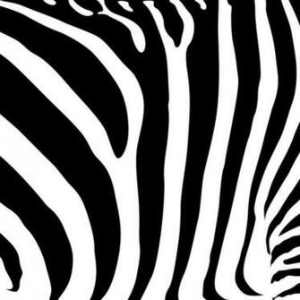 Zebra Strepen Wallpaper