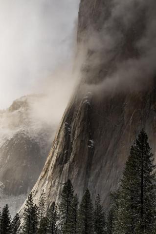 Pine Trees Near Mountain With Fogs Photo Nature Image On